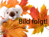 Pl�schb�r