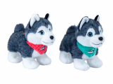 Husky stehend Boy/Girl