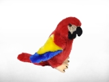 Papagei Sebastian